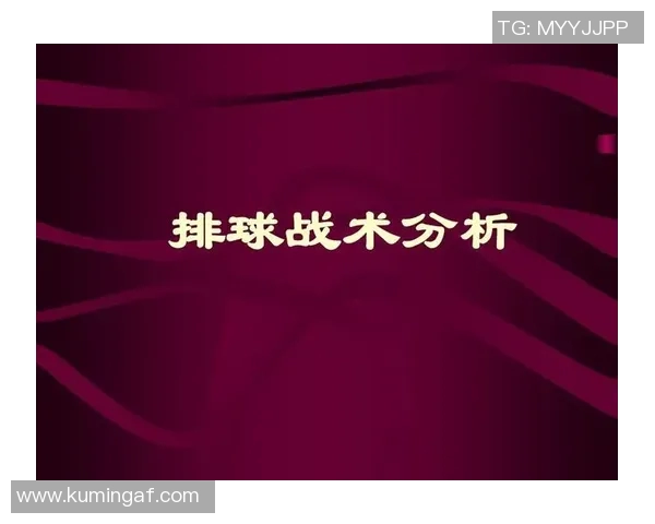 武汉排球队进攻体系解析与战术创新探讨