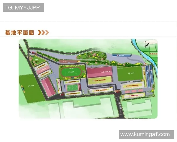 深圳足球队控制体系解析:战术理念与场上执行的深度剖析 深圳足球队控制体系解析:战术理念与场上执行的深度剖析