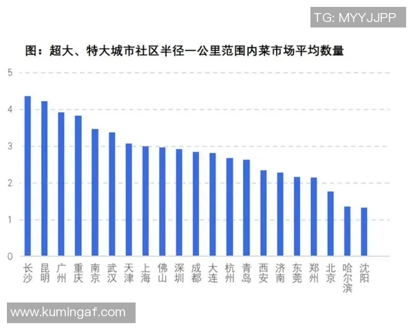重庆羽毛球队实力对比深度解析与未来发展趋势探讨