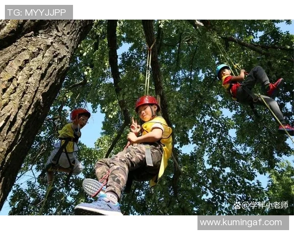 成都攀岩队的意识探讨与发展：攀岩运动在城市中的新生机与挑战