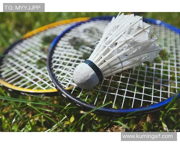 从零基础到高手之路羽毛球技巧与训练全解析