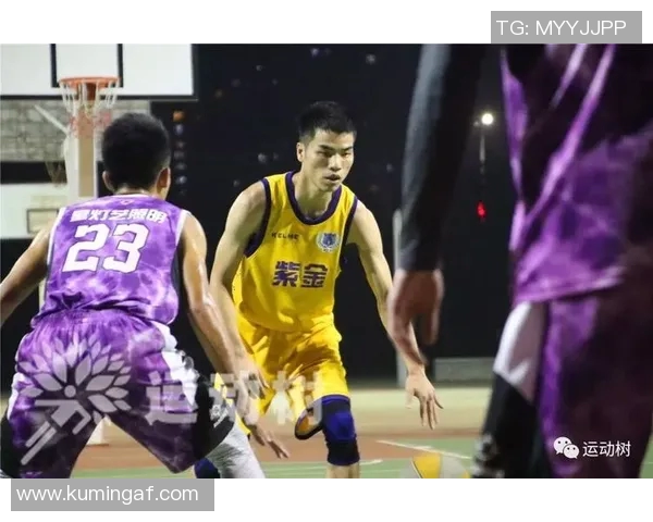 广州篮球队实力分析及其在联赛中的表现评估与趋势研究 广州篮球队实力分析及其在联赛中的表现评估与趋势研究