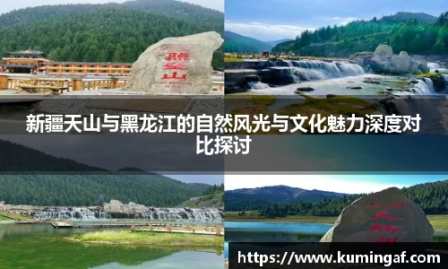 im电竞官网