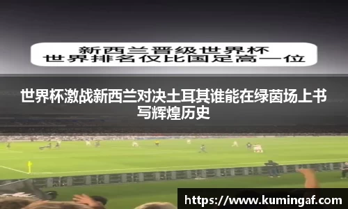 im电竞平台