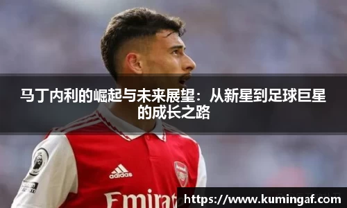 im电竞官网